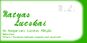 matyas lucskai business card